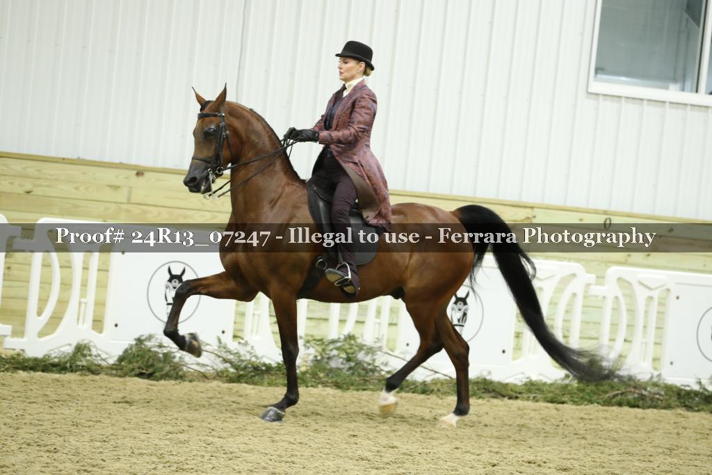 Proof 24R13_07247