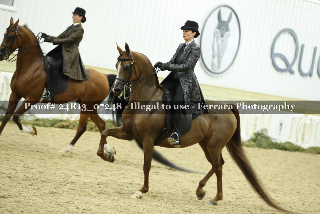 Proof 24R13_07248