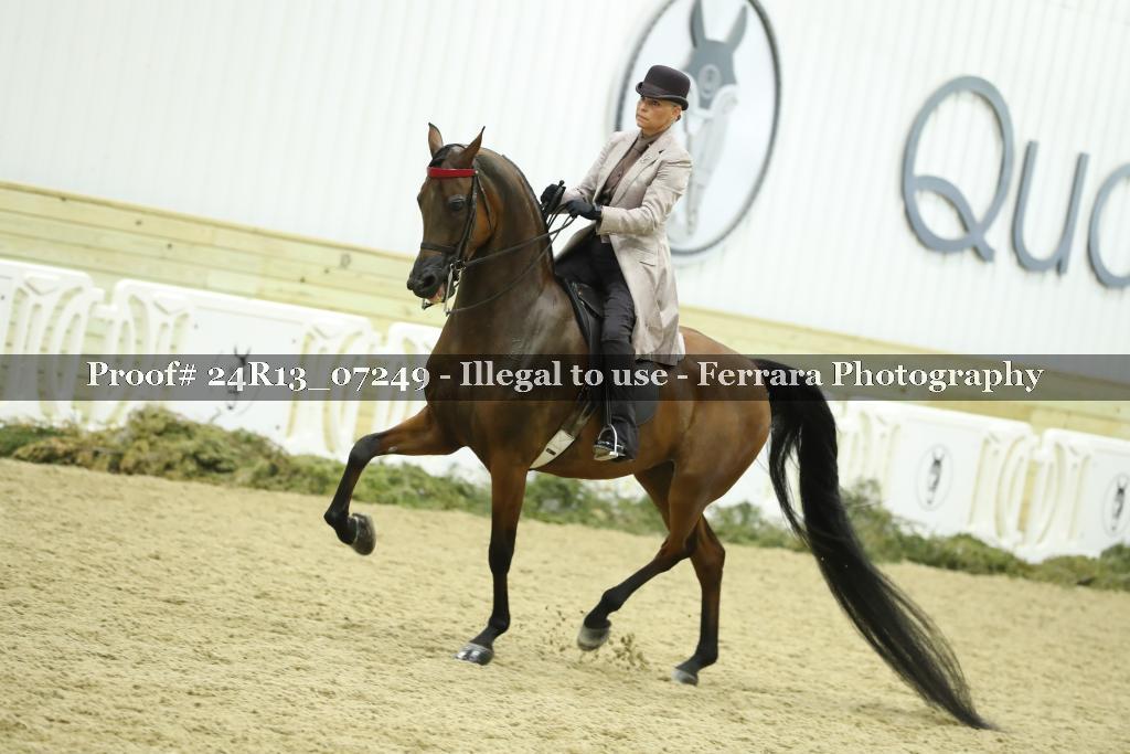 Proof 24R13_07249