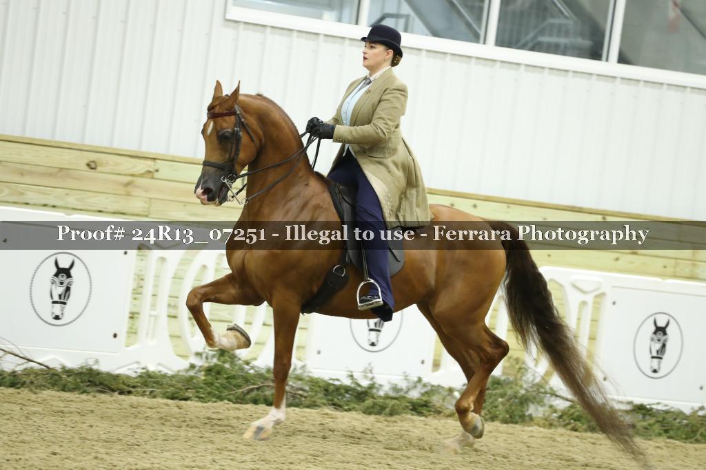 Proof 24R13_07251