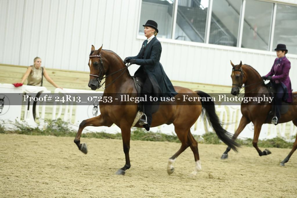 Proof 24R13_07253