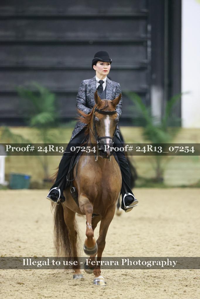 Proof 24R13_07254