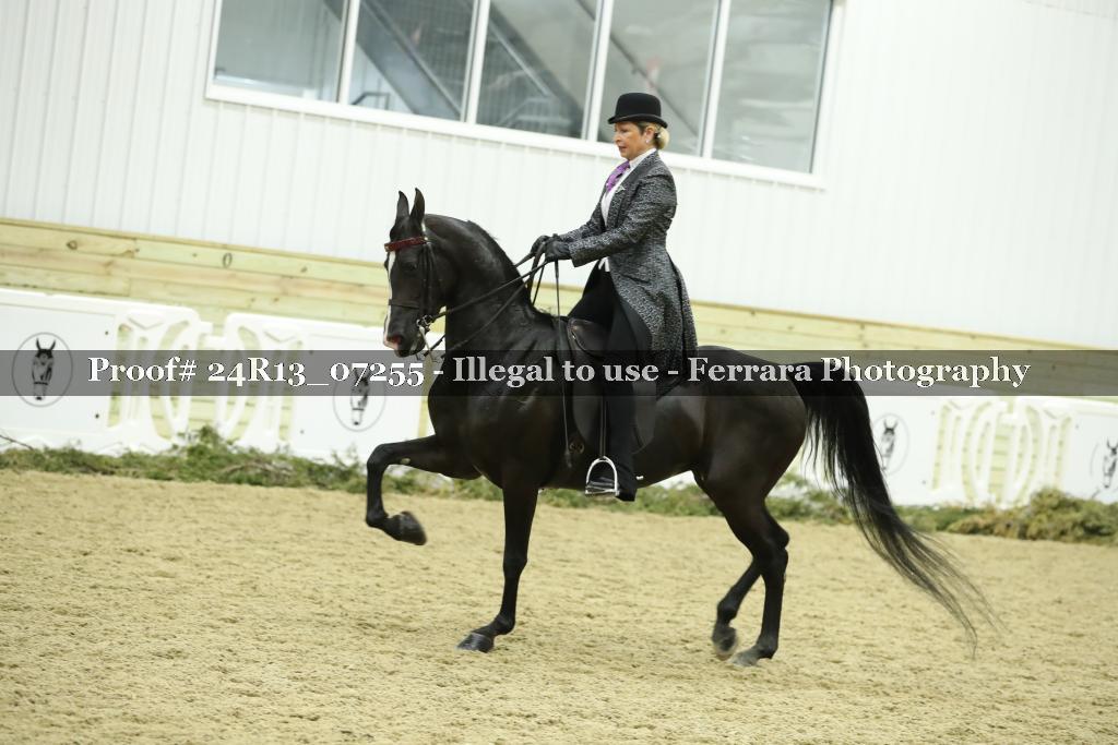 Proof 24R13_07255