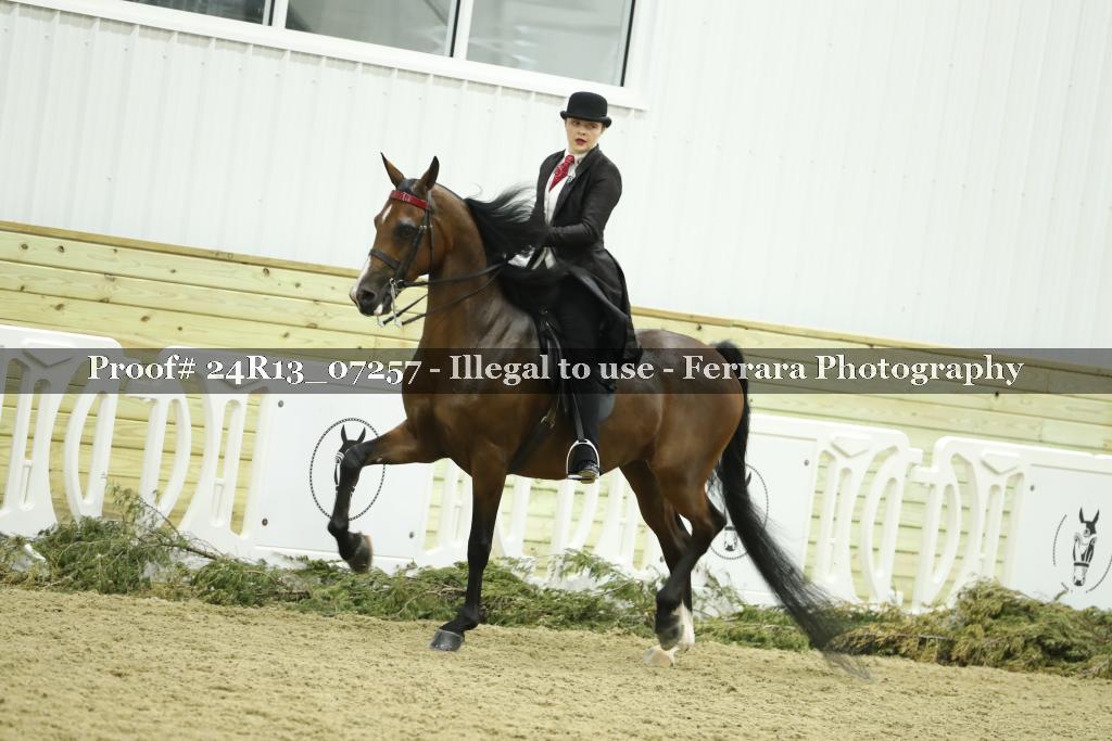 Proof 24R13_07257