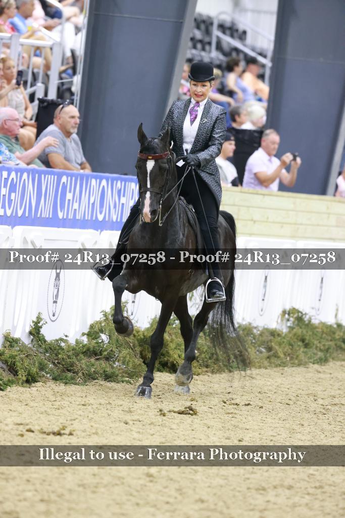 Proof 24R13_07258