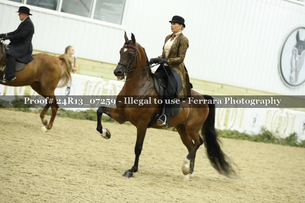 Proof 24R13_07259