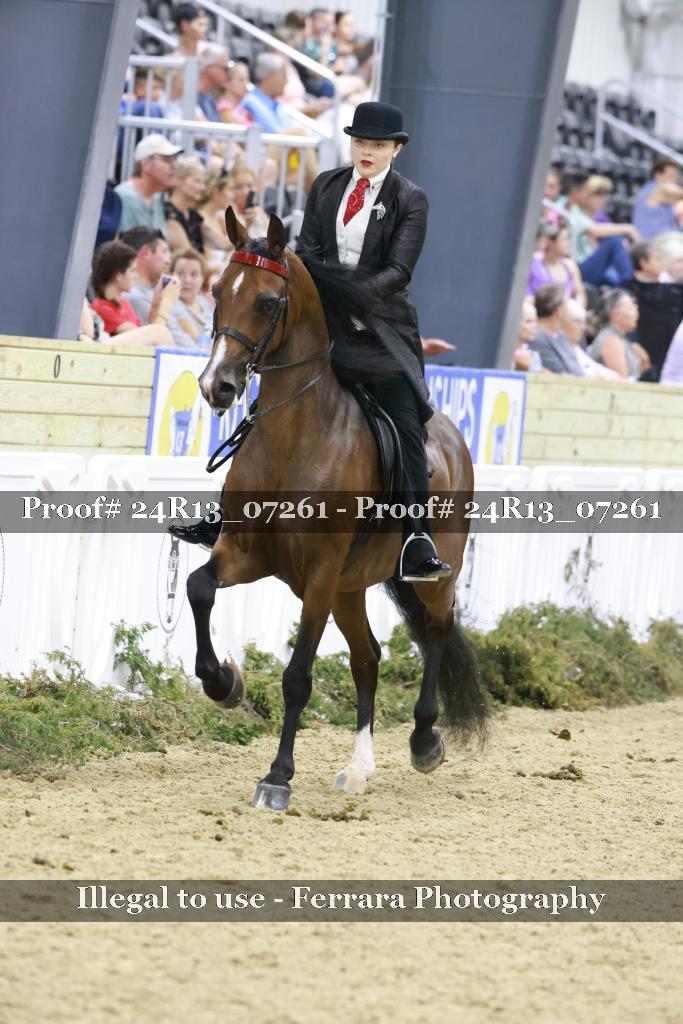 Proof 24R13_07261