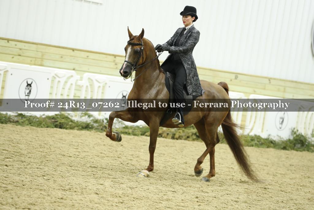 Proof 24R13_07262