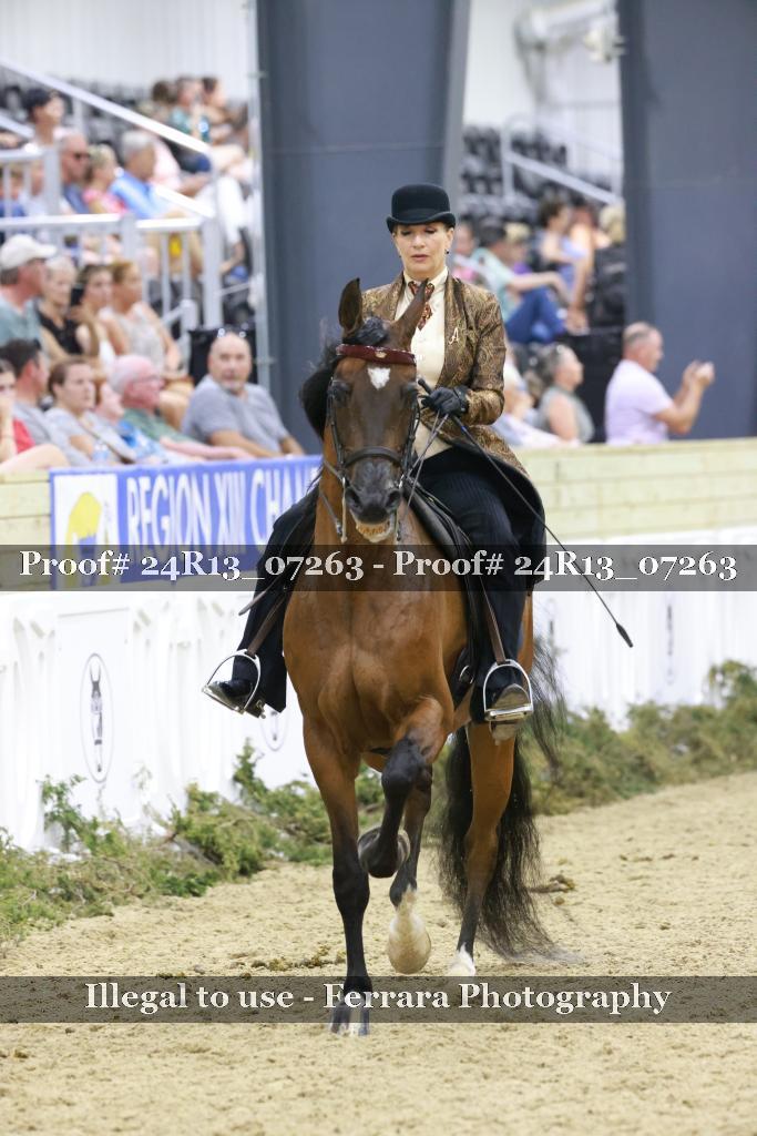 Proof 24R13_07263