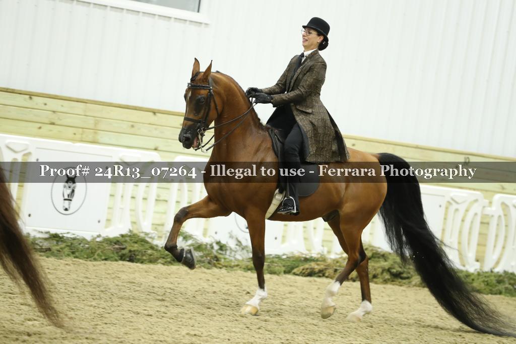 Proof 24R13_07264