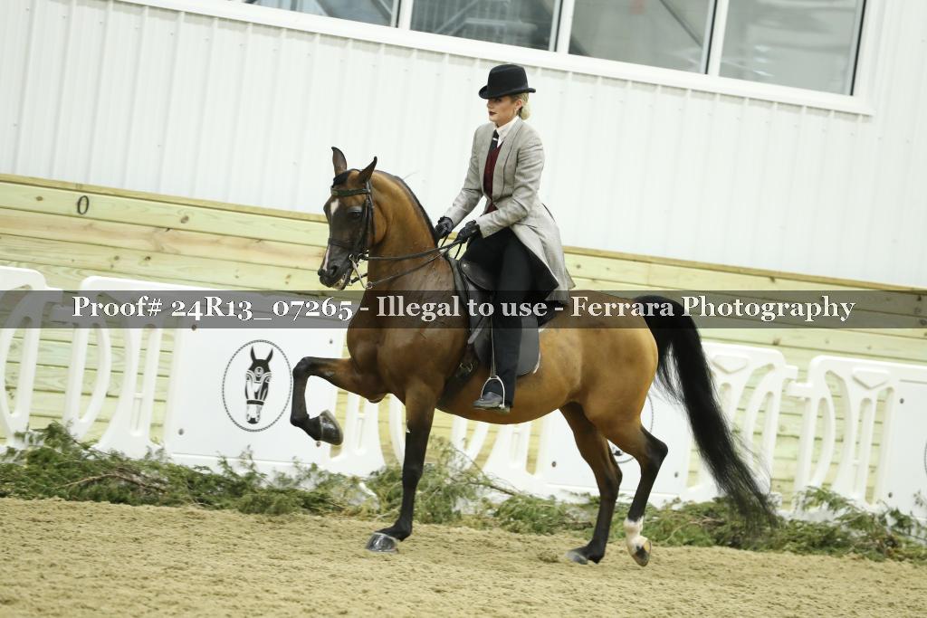 Proof 24R13_07265