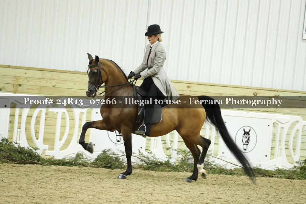 Proof 24R13_07266