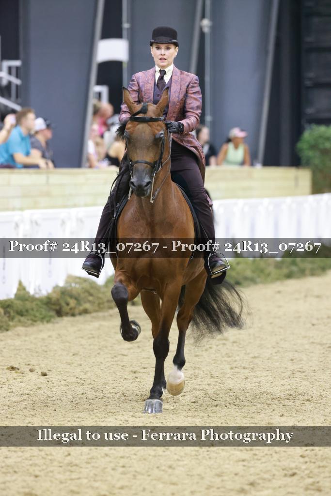 Proof 24R13_07267