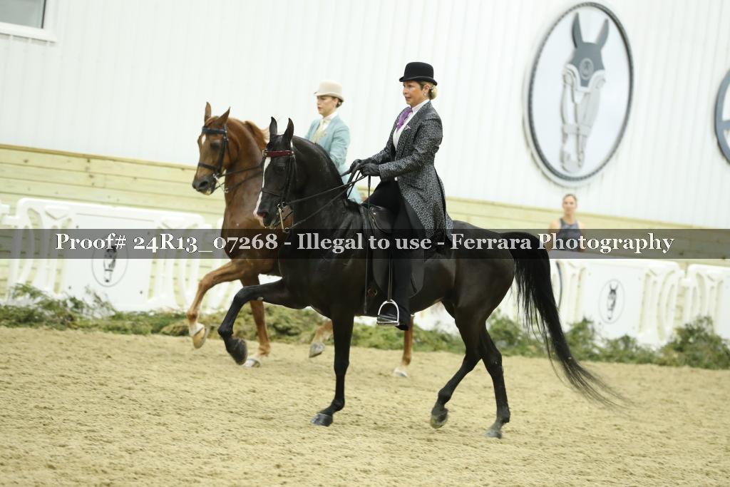 Proof 24R13_07268