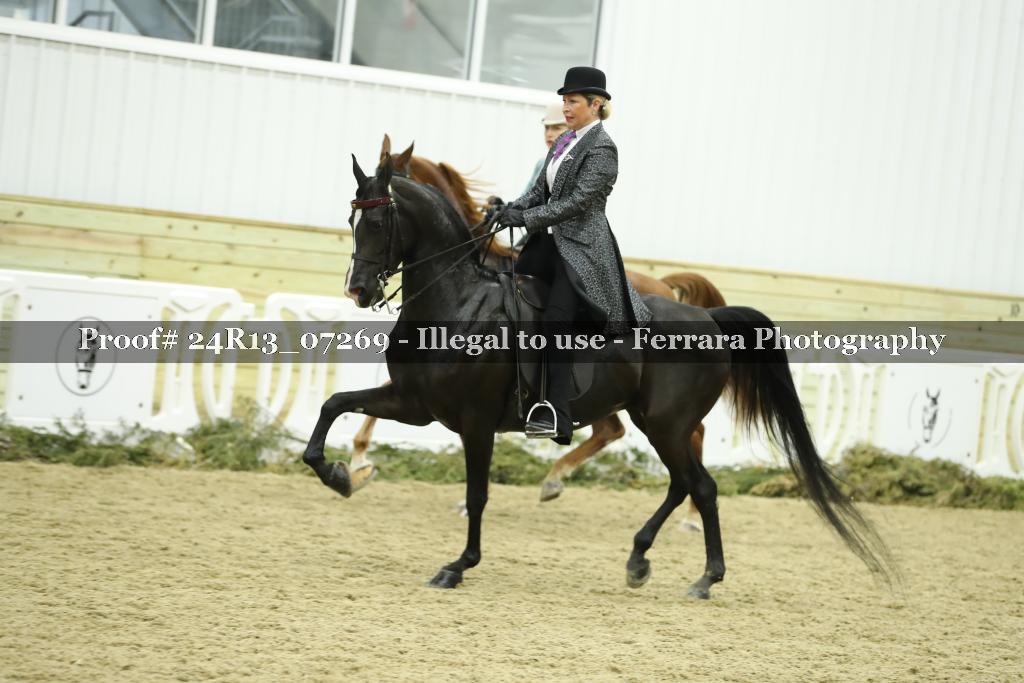 Proof 24R13_07269