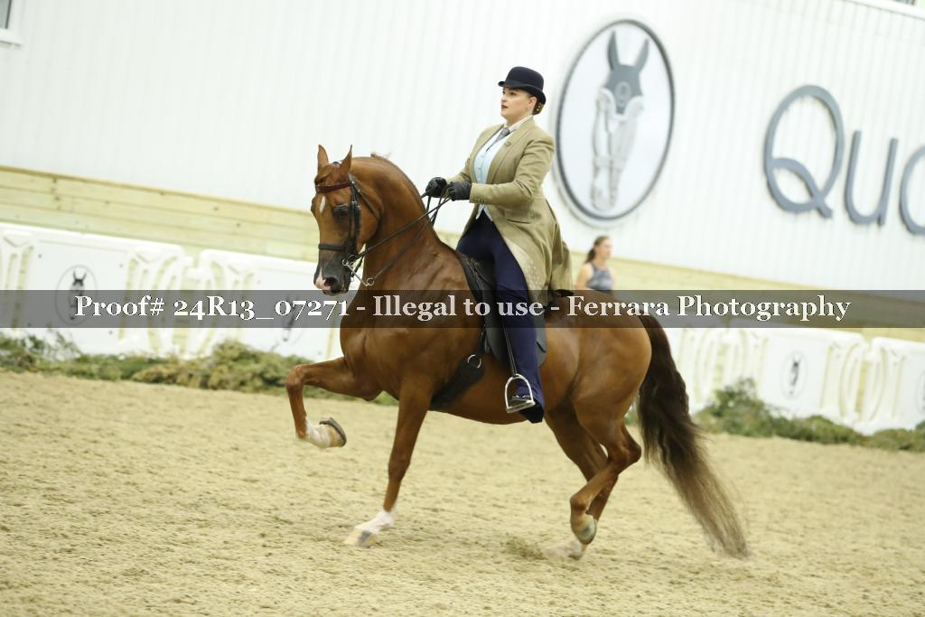 Proof 24R13_07271
