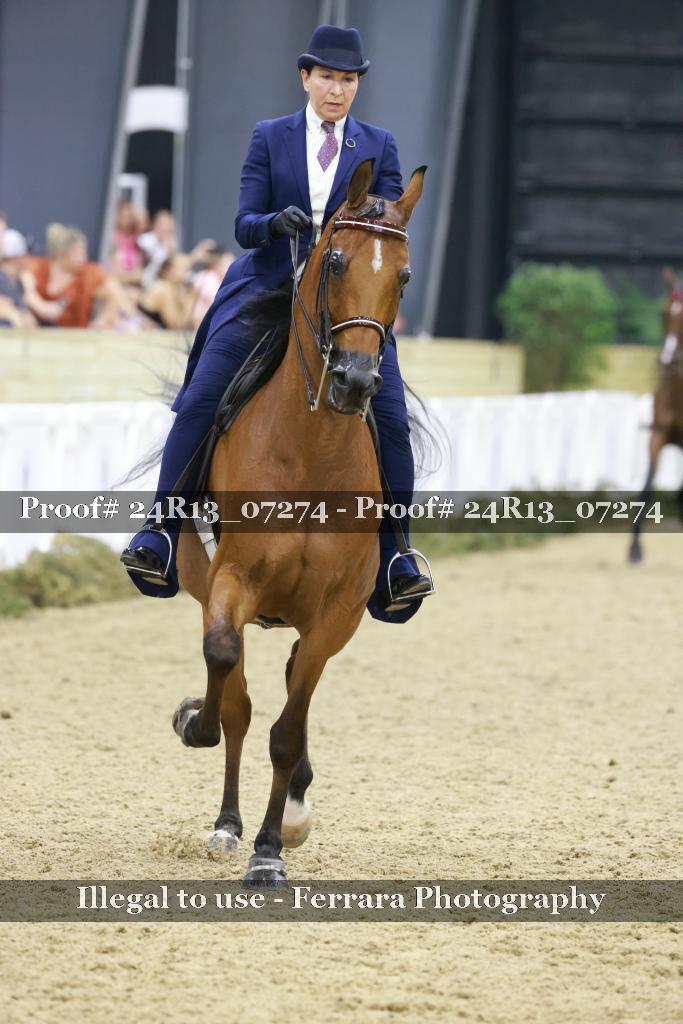 Proof 24R13_07274