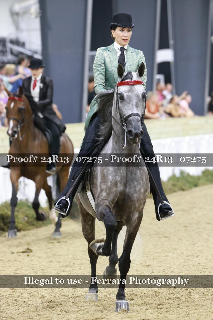Proof 24R13_07275