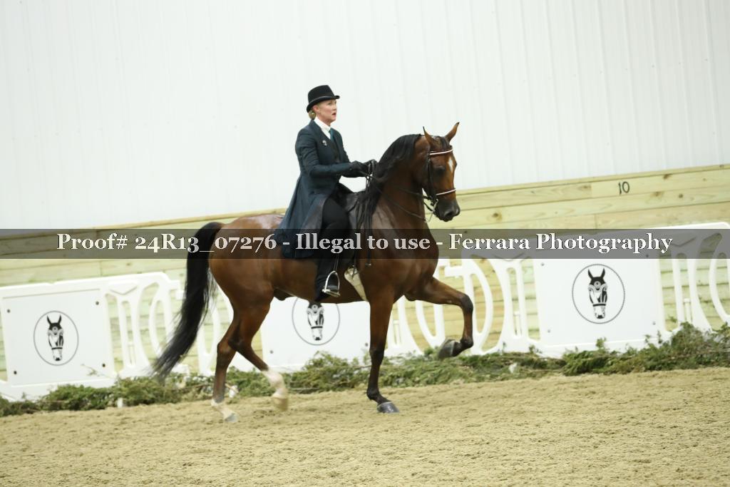Proof 24R13_07276