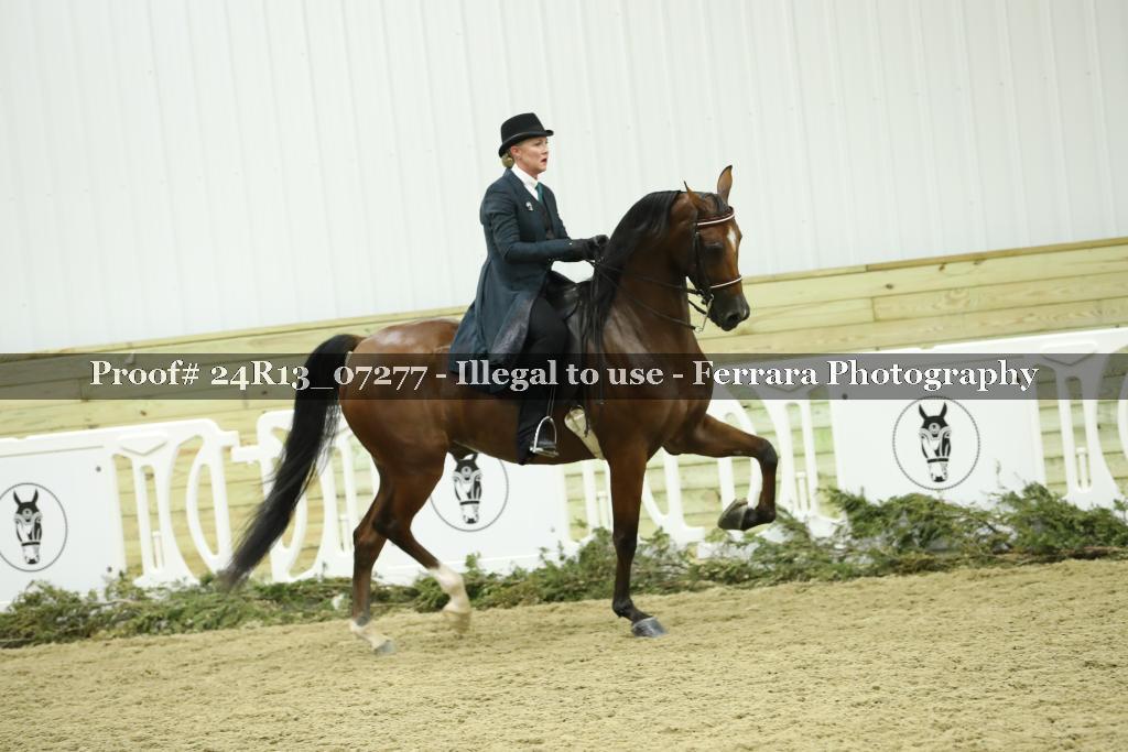 Proof 24R13_07277