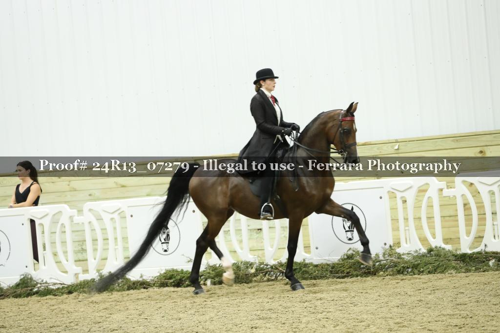 Proof 24R13_07279
