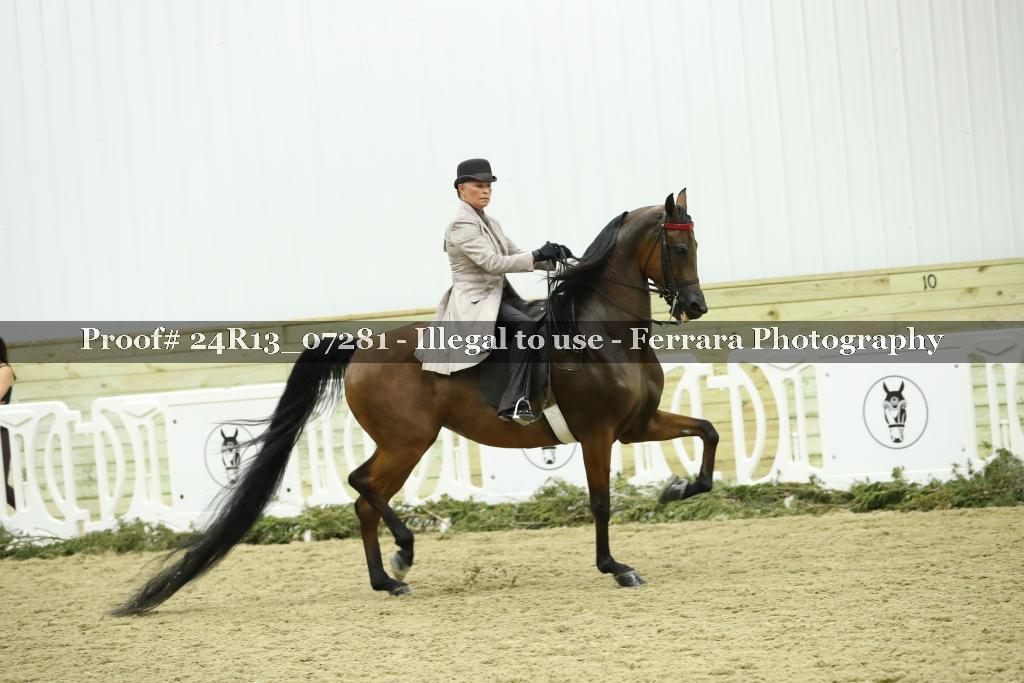 Proof 24R13_07281