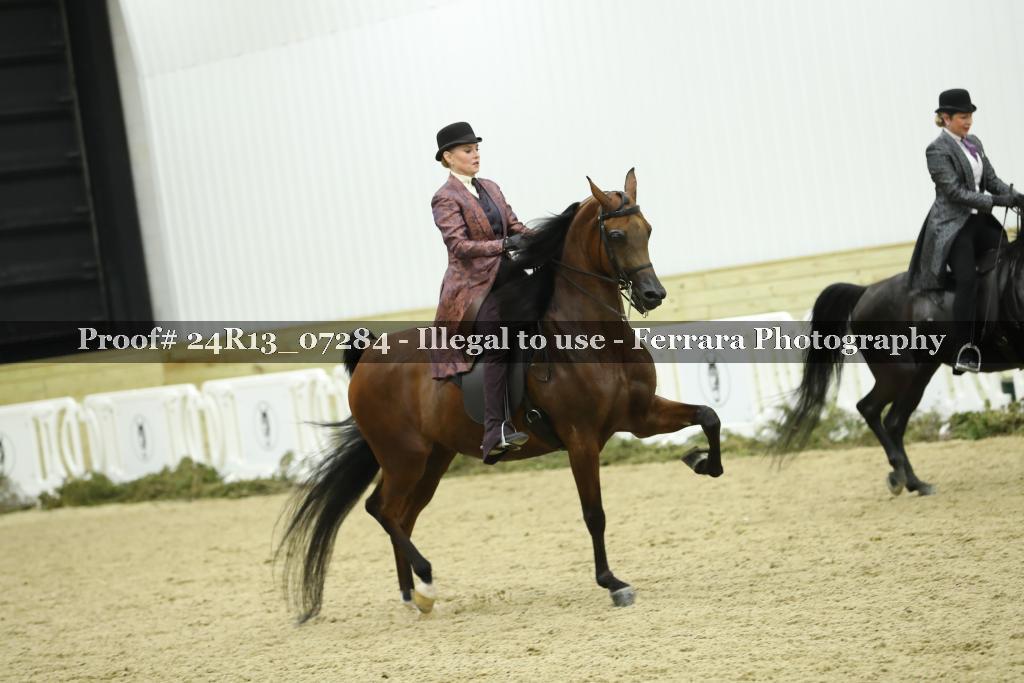 Proof 24R13_07284