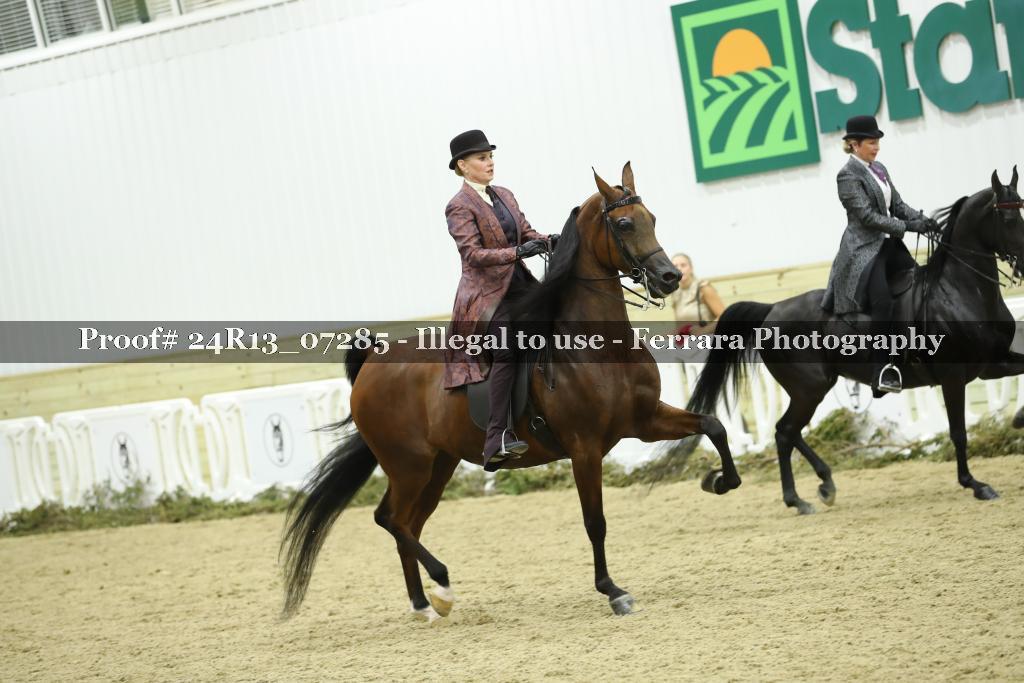 Proof 24R13_07285