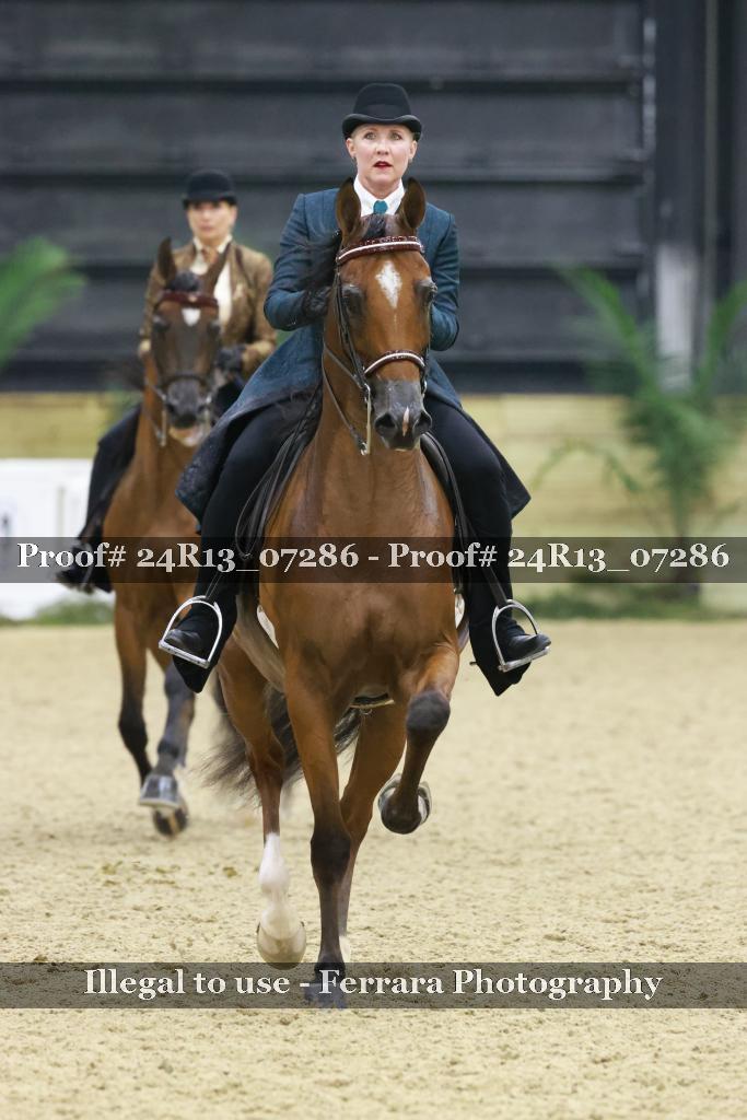 Proof 24R13_07286