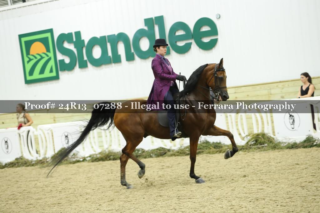 Proof 24R13_07288