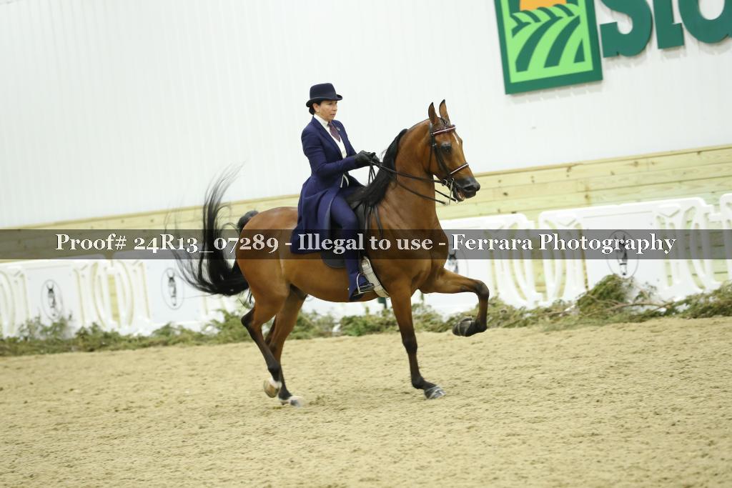Proof 24R13_07289