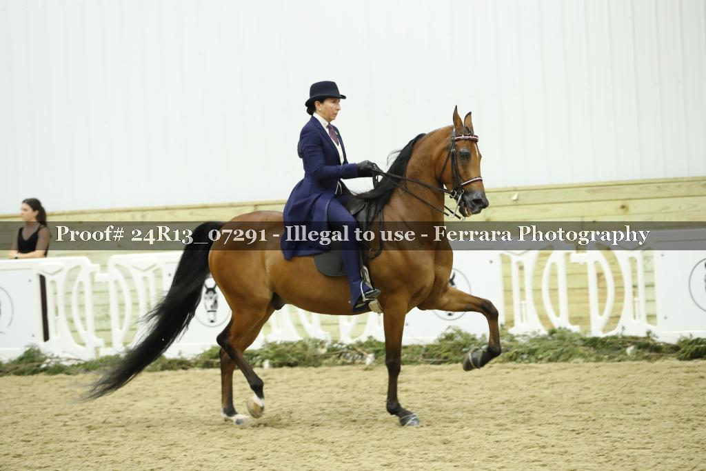 Proof 24R13_07291