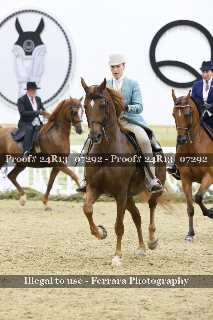 Proof 24R13_07292