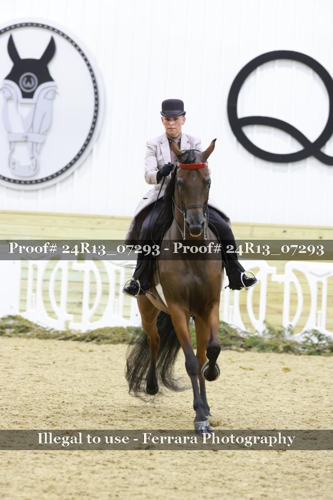 Proof 24R13_07293