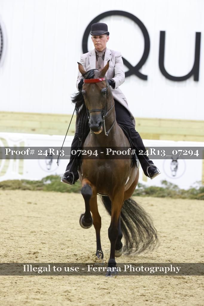 Proof 24R13_07294