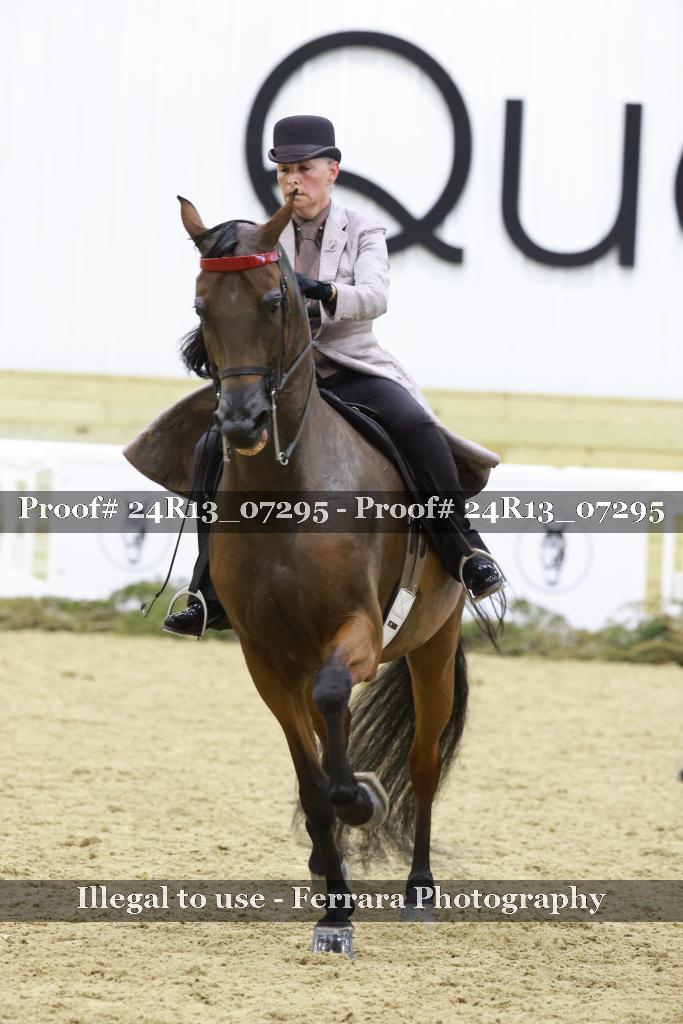 Proof 24R13_07295