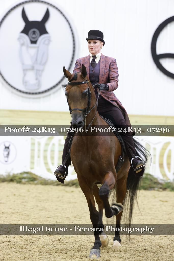 Proof 24R13_07296