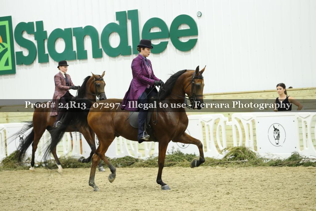 Proof 24R13_07297