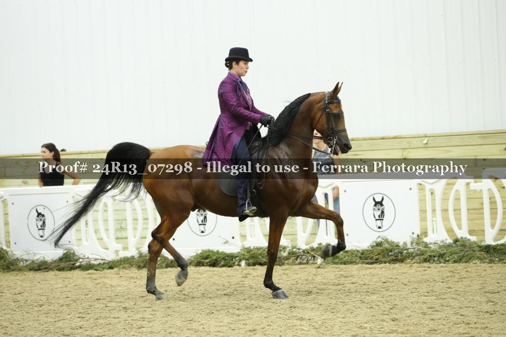 Proof 24R13_07298