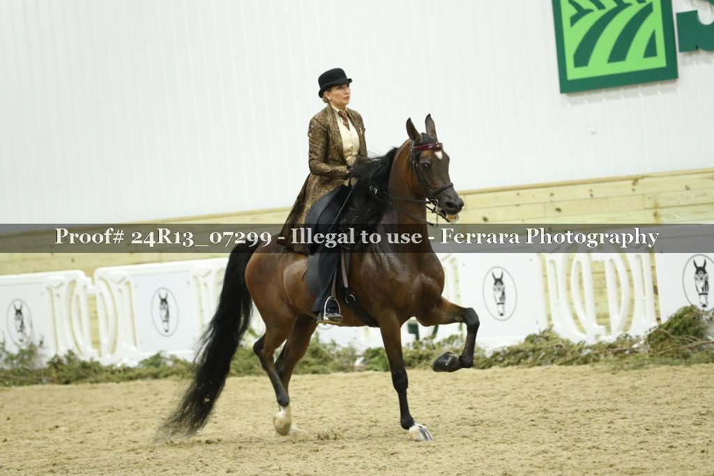Proof 24R13_07299