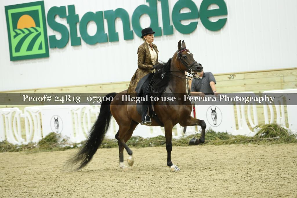 Proof 24R13_07300