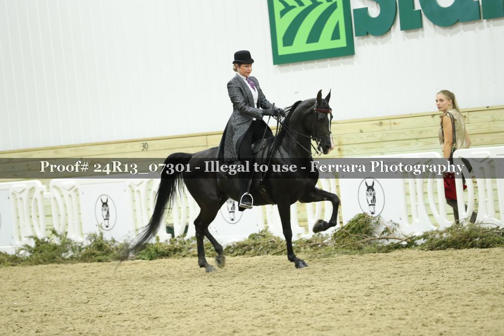 Proof 24R13_07301