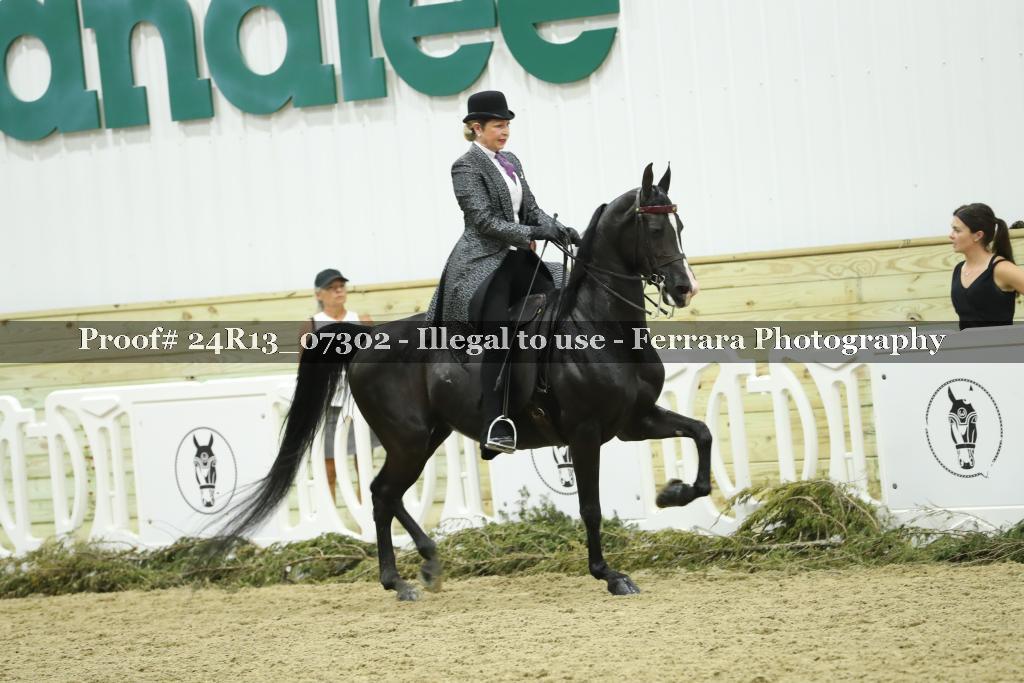 Proof 24R13_07302