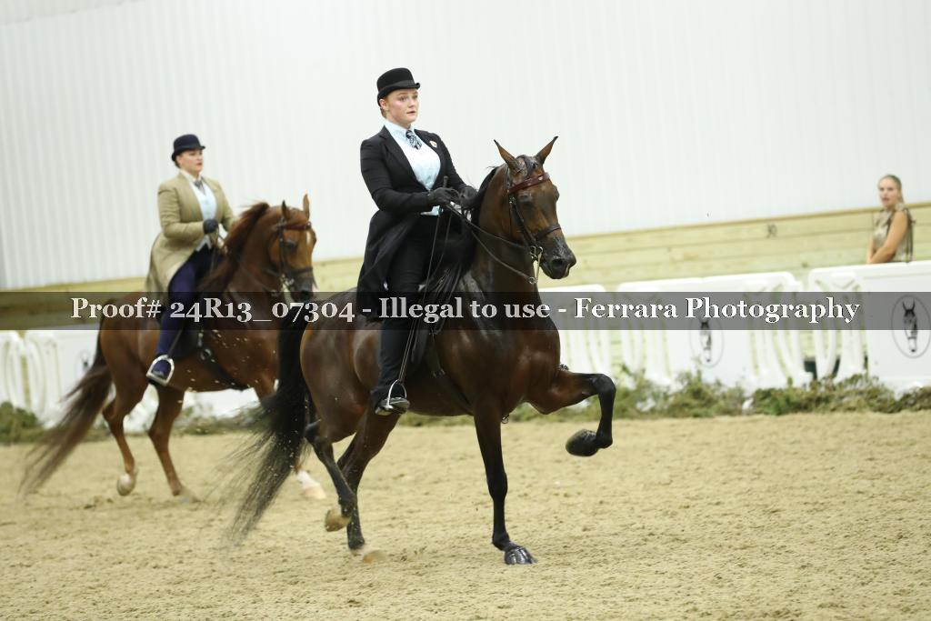 Proof 24R13_07304