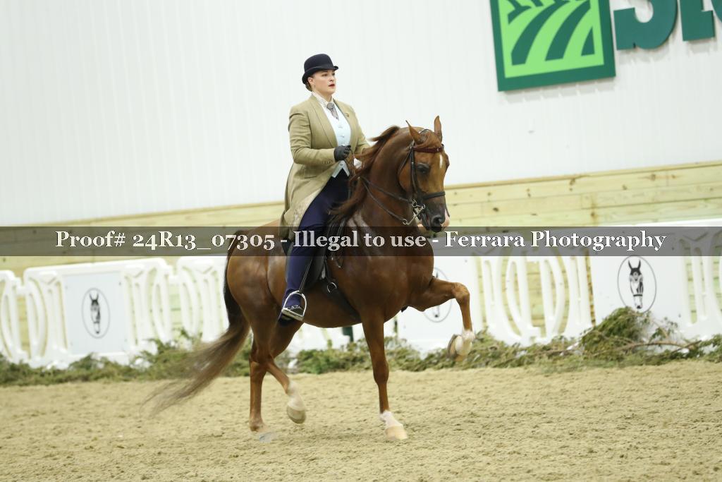 Proof 24R13_07305