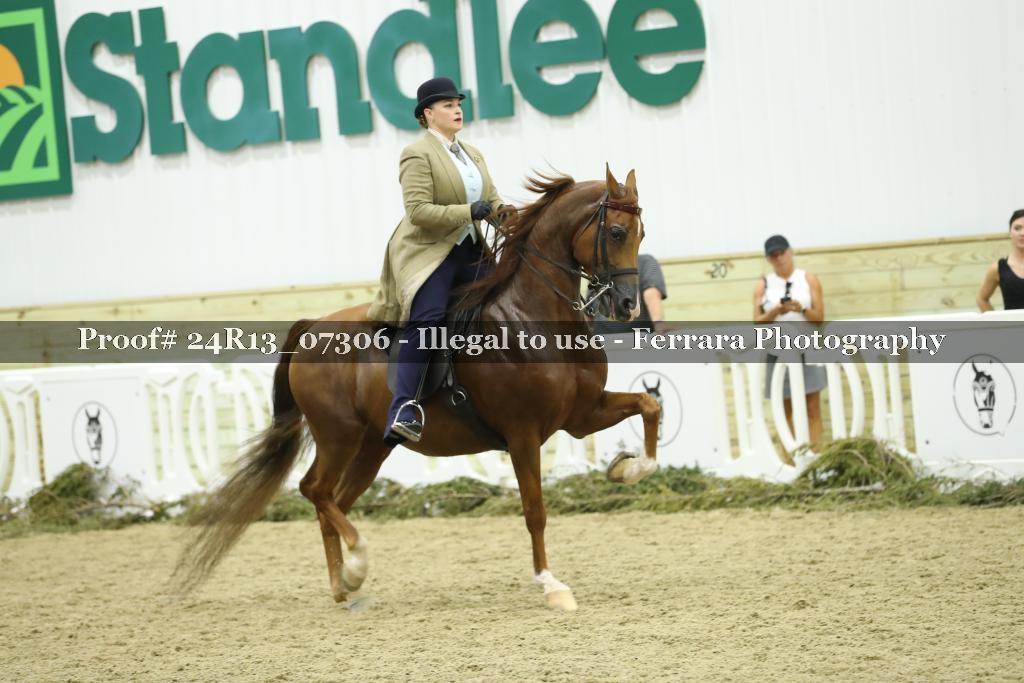 Proof 24R13_07306