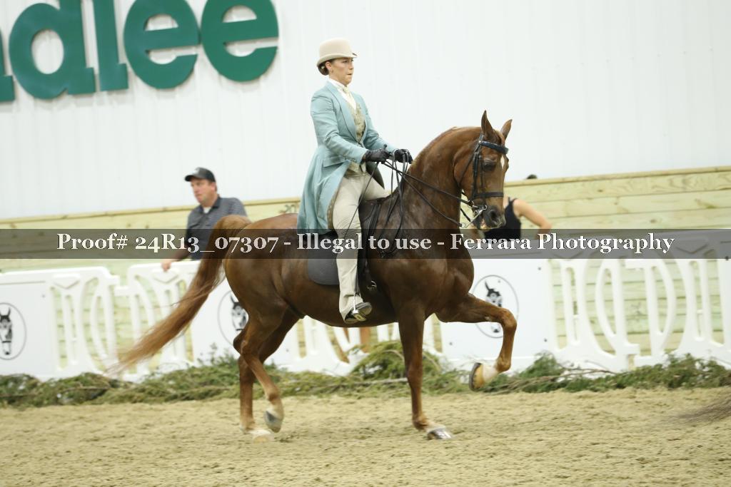 Proof 24R13_07307