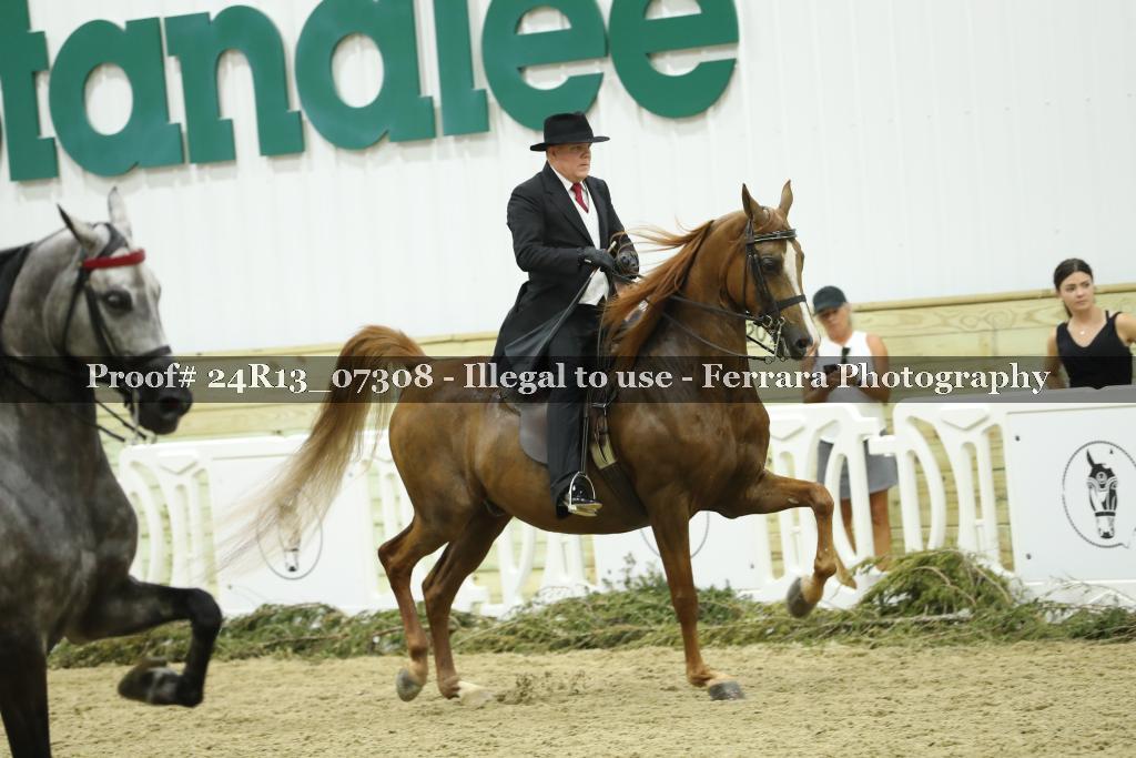 Proof 24R13_07308