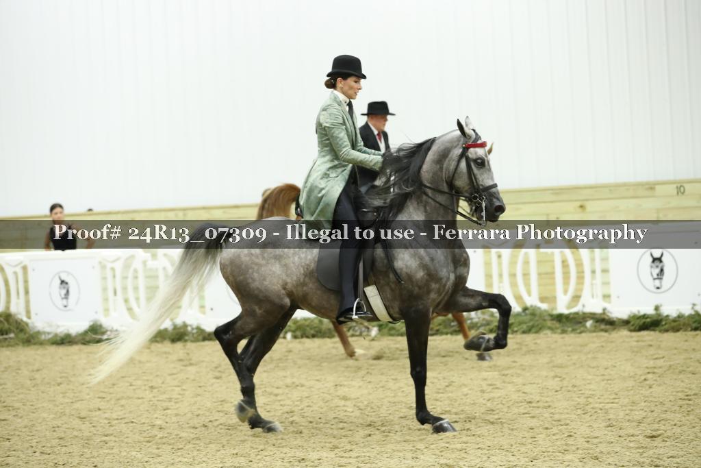 Proof 24R13_07309