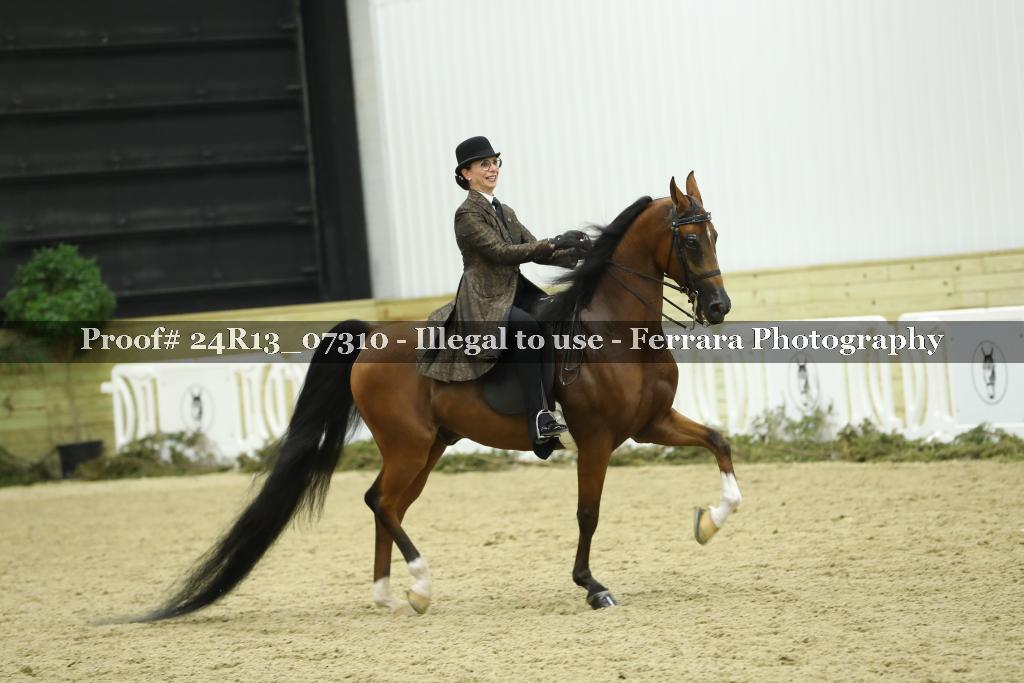 Proof 24R13_07310